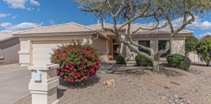 14672 W Mulberry Drive, Goodyear
