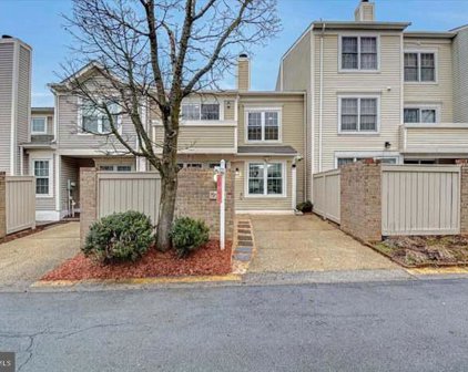 19909 Sugar Notch Cir, Montgomery Village