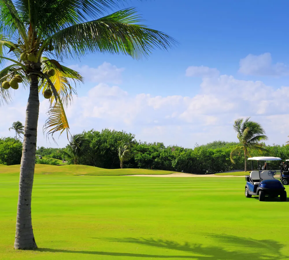 Search Naples Golf Course Real Estate