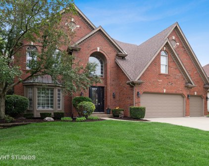 3411 Goldfinch Drive, Naperville