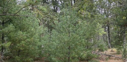 10.239 Acres TOWNLINE ROAD, Wisconsin Rapids