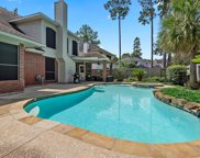15815 Country Trail, Tomball image