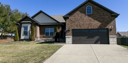 2822 Brassfield Cir, Shelbyville
