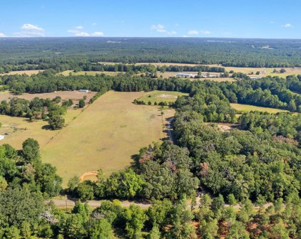 LOT 2 CR 2138 (OLD TYLER HWY), Troup
