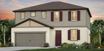 11458 Calusa Trails Way, Riverview