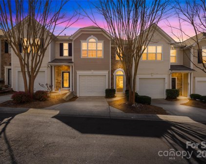 1305 Smokey Quartz  Lane, Fort Mill