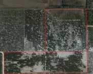 Raulerson Road, Frostproof image