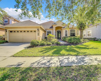 20419 Walnut Grove Lane, Tampa