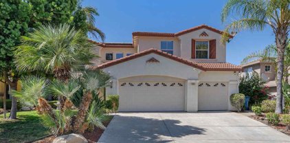 2068 Schell Mountain Way, Antioch