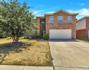 9013 Old Clydesdale  Drive, Fort Worth image