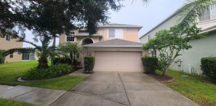19333 Aqua Springs Drive, Lutz