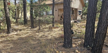 2165 Hashknife Drive, Overgaard