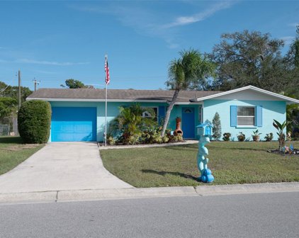 212 Algiers Drive, Venice