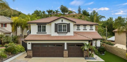 30411 Star Canyon Place, Castaic