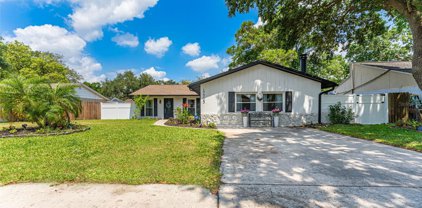 17703 Rivendel Road, Lutz