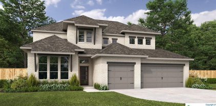 1514 Specie Creek, San Antonio