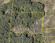 Neff Lake Road, Brooksville image