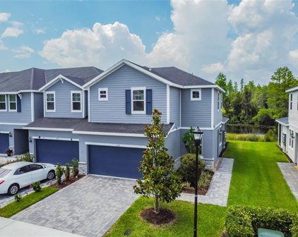 1017 Orchard Arbour Court, Tampa