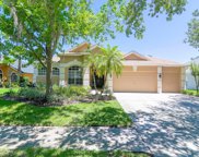 5317 Pagnotta Place, Lutz image