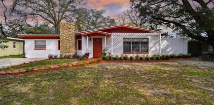4416 Bass Street, Tampa