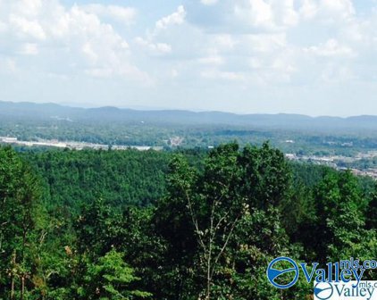 1307 Bellevue Drive, Gadsden