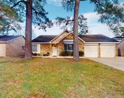 2511 Whispering Springs Drive, Spring image