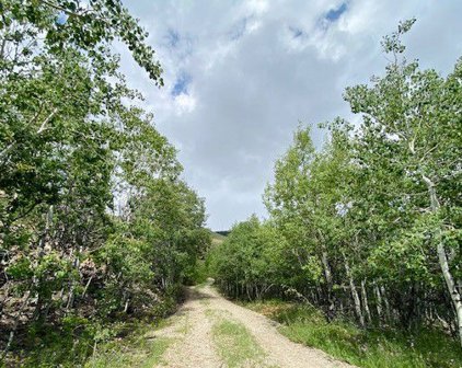 1131 Outlaw Trail, Anaconda
