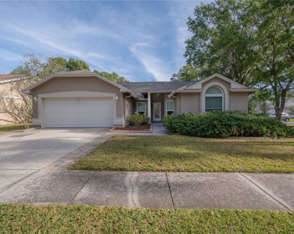 8953 Bayaud Drive, Tampa