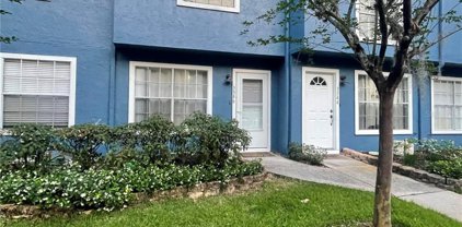 3346 Fox Hunt Dr, Palm Harbor