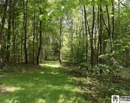 Quilliam  Road, Chautauqua-062889