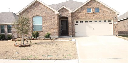 2406 Tiago  Drive, Forney