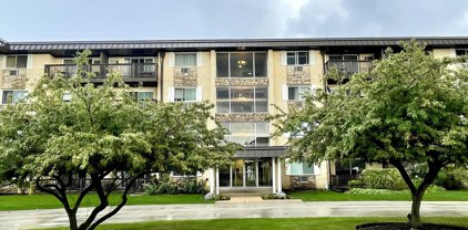 2218 S Goebbert Road Unit #393, Arlington Heights