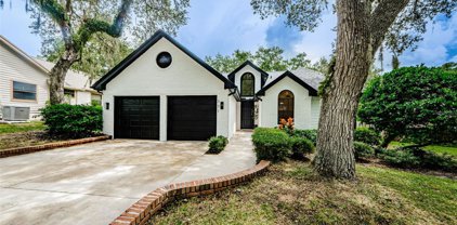 331 Cascade Lane, Palm Harbor