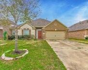 2918 Tulip Tree Trail, Rosenberg image