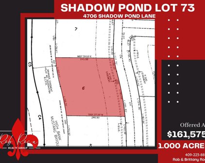 4706 Shadow Pond Ln, Alvin
