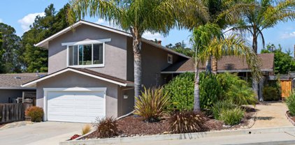 232 Calvin Place, Santa Cruz