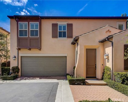 43 Splendor, Irvine