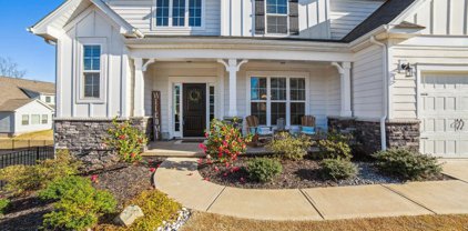 3009 Winged Teal  Court, Belmont