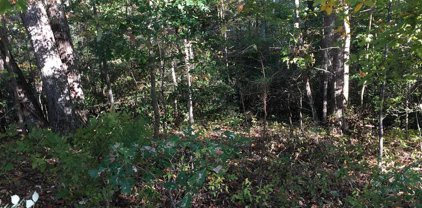 Lots 40,41 Rinard Ave, Beltsville