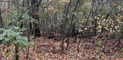 Lot 3 CLARK STREET, Stevens Point