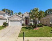 8042 King Palm Circle, Kissimmee image