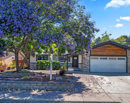 847 San Luppe DR, Mountain View