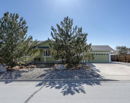 315 Tina Cir, Sparks