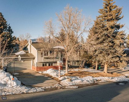 1127 N Spruce Drive, Bozeman