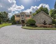 8711 Brooke Angela Drive, Odessa image