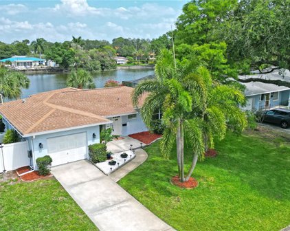 250 Nw Lincoln Circle N, St Petersburg