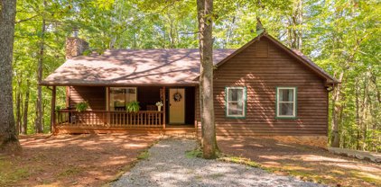 110 Hickory Lake  Ln, Goodview