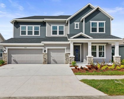 6069 Golden Nettle Drive, Apollo Beach