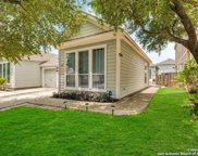 6817 Terra Rye, San Antonio image