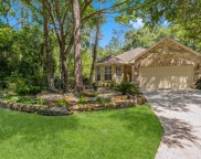 3 Velvet Rose Court, Conroe image